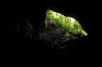 Borneo - Gunung Mulu - Deer Cave o1660